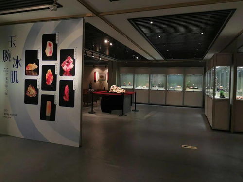 不施脂粉,而意态动人,芙蓉原石展正在展出