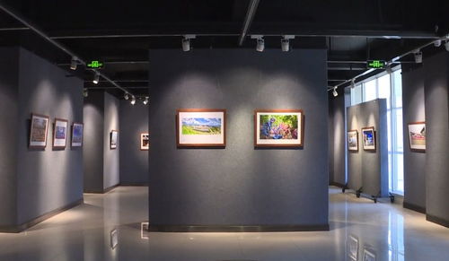 西昌市文化馆开设书画展览,致敬最美逆行者
