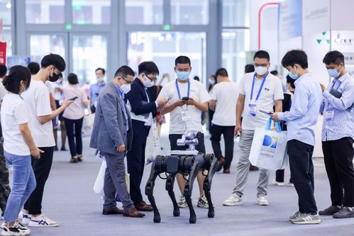 高交会宝安展区收官,展示逾千项技术,观展人数破10万